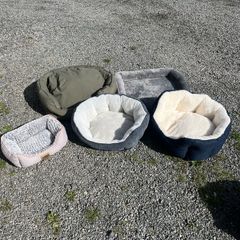 Dog Beds