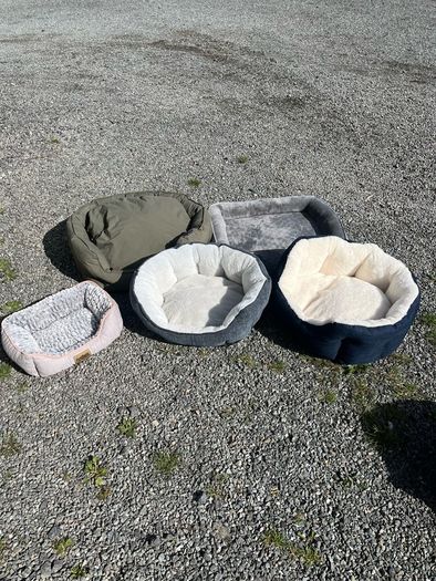 Dog Beds