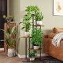 Indoor Plant Shelf Image 6