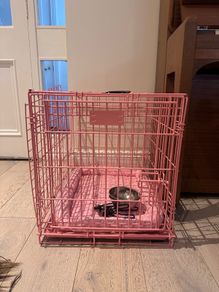 dog crate