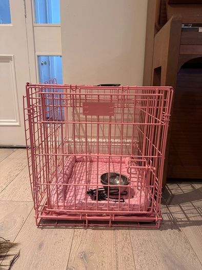 dog crate