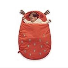 Baby sleeping bag