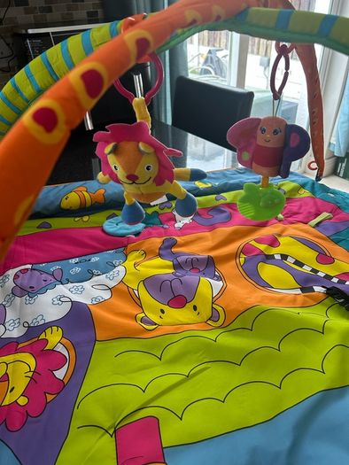 Baby Activity Playmat