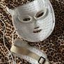 Beauty Led Mask Image 2