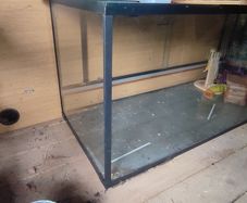 Glass terrarium.