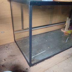 Glass terrarium.