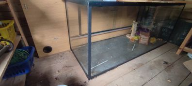 Glass terrarium.