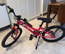 Ridgeback Harmony 20 Inch Bicycle