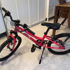 Ridgeback Harmony 20 Inch Bicycle