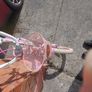 GIRLS BIKE (Sparkle) with Basket, 20 inch wheels, in excellent condition. See Pictures Image 2