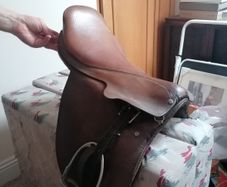Saddle - All Purpose