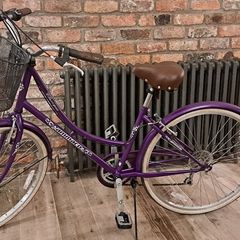 Dutch Style Ladies Bike