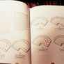 1992. Basic Bridge. Peter Arnold. Image 3