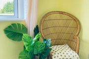 wicker peacock chair