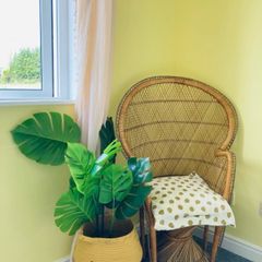 wicker peacock chair