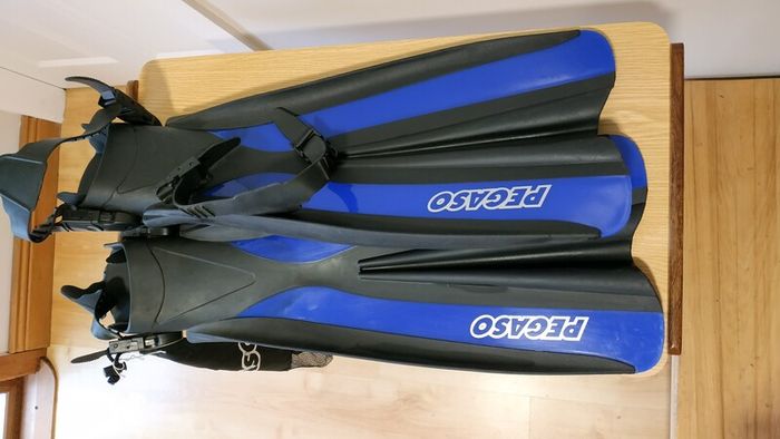 flippers