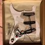 Preloaded Pickguard Image 2