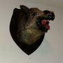 Large wild boar taxidermy mounted Image 4