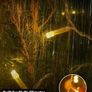 Icicle Lights Outdoor Christmas Lights 500 LED 17M Warm White Decorations String Fairy Lights with Timer for Xmas Garden & Party | Mains Powered Clear Cable Image 3