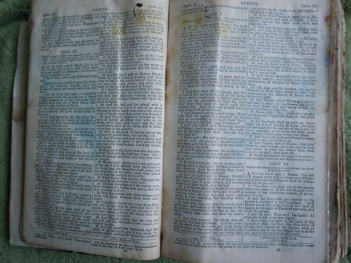 The Ave Maria A Magazine Devoted to the Honor of the Blessed Virgin 1894 and the Bible