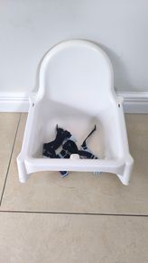 Highchair