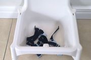 Highchair