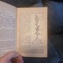 Teach Yourself  Botany Image 4