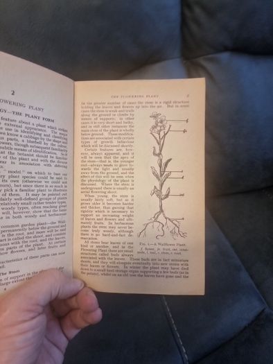 Teach Yourself  Botany