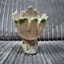 Baby Groot Flower Pot Image 3