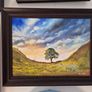 Sycamore Gap Tree Image 5