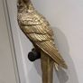 decorative parrot Image 2