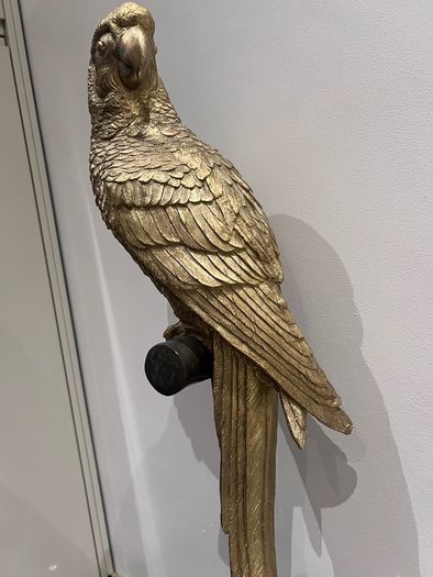 decorative parrot