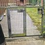Dog Kennel Image 4