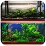 Evolution Aqua Waste Remover Image 5