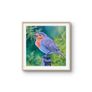 Baby Robin | FineArt Print | framed Image 2