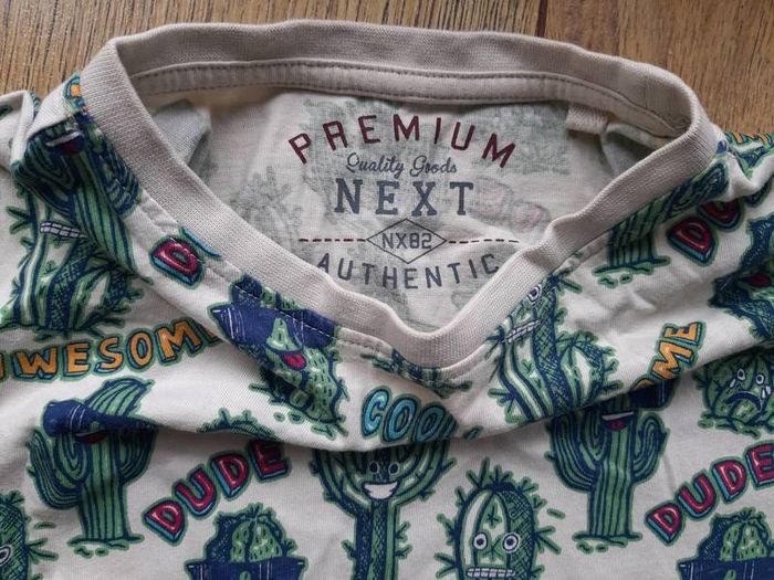 2 summer Tshirts boys age 9 NEXT