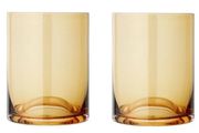 blomus tumblers x 2 Dull Gold (Boxed)