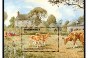 1992 Guernsey 50th Anniversary of Royal Guernsey Agricultural &amp; Horticultural Society (Guernsey Calves) Miniature Sheet Mint Never Hinged (MNH)
