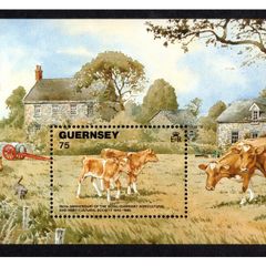 1992 Guernsey 50th Anniversary of Royal Guernsey Agricultural & Horticultural Society (Guernsey Calves) Miniature Sheet Mint Never Hinged (MNH)