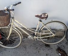 Ladies Medium Cruiser Bike