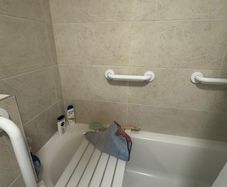 Grab rails and shower seat (for bath)