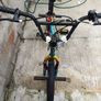 girls bmx Image 4