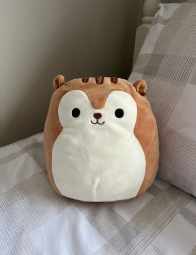 Sawyer the Squirrel Squishmallow