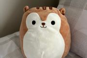Sawyer the Squirrel Squishmallow