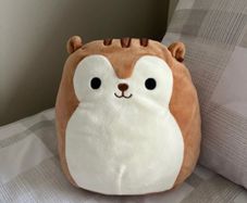 Sawyer the Squirrel Squishmallow