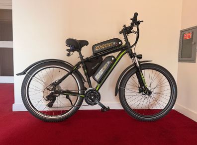 E-bike + 2 new batteries