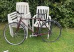 Dawes Bike