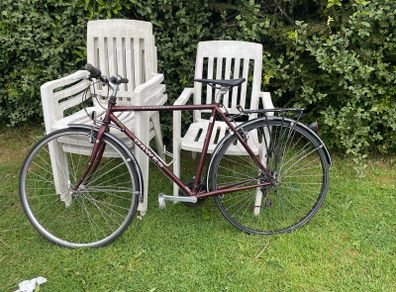 Dawes Bike