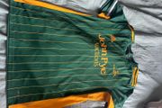 cricket jersey