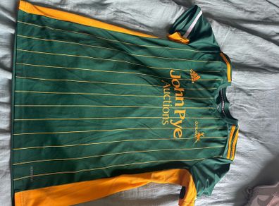 cricket jersey